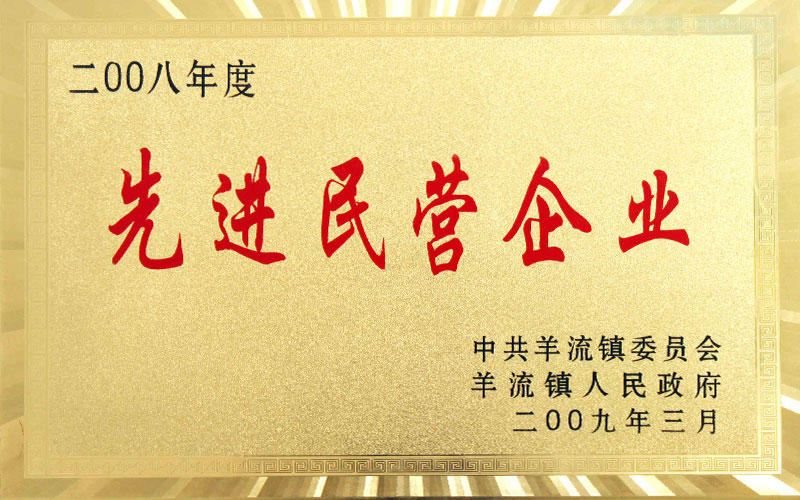 先进民营企业